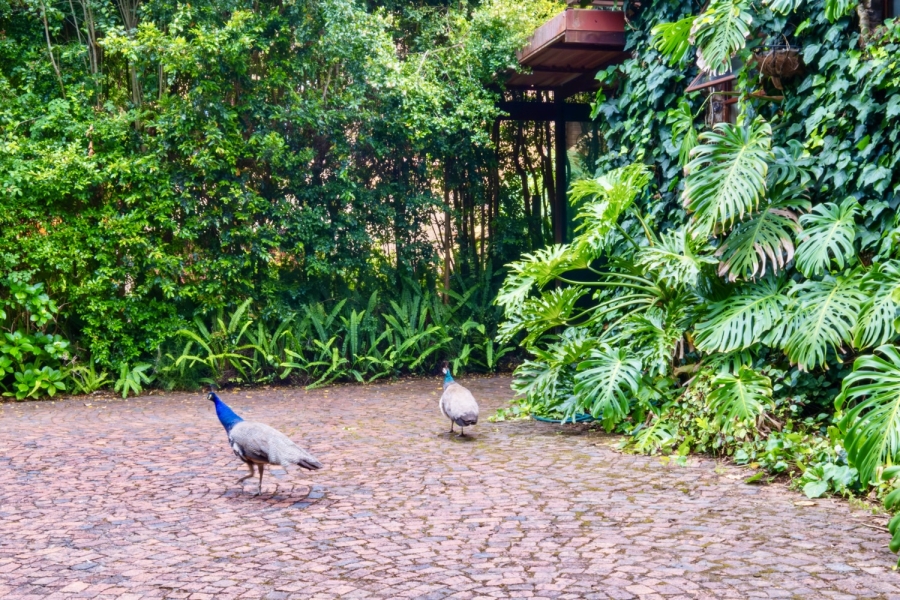 5 Bedroom Property for Sale in Fernridge Western Cape